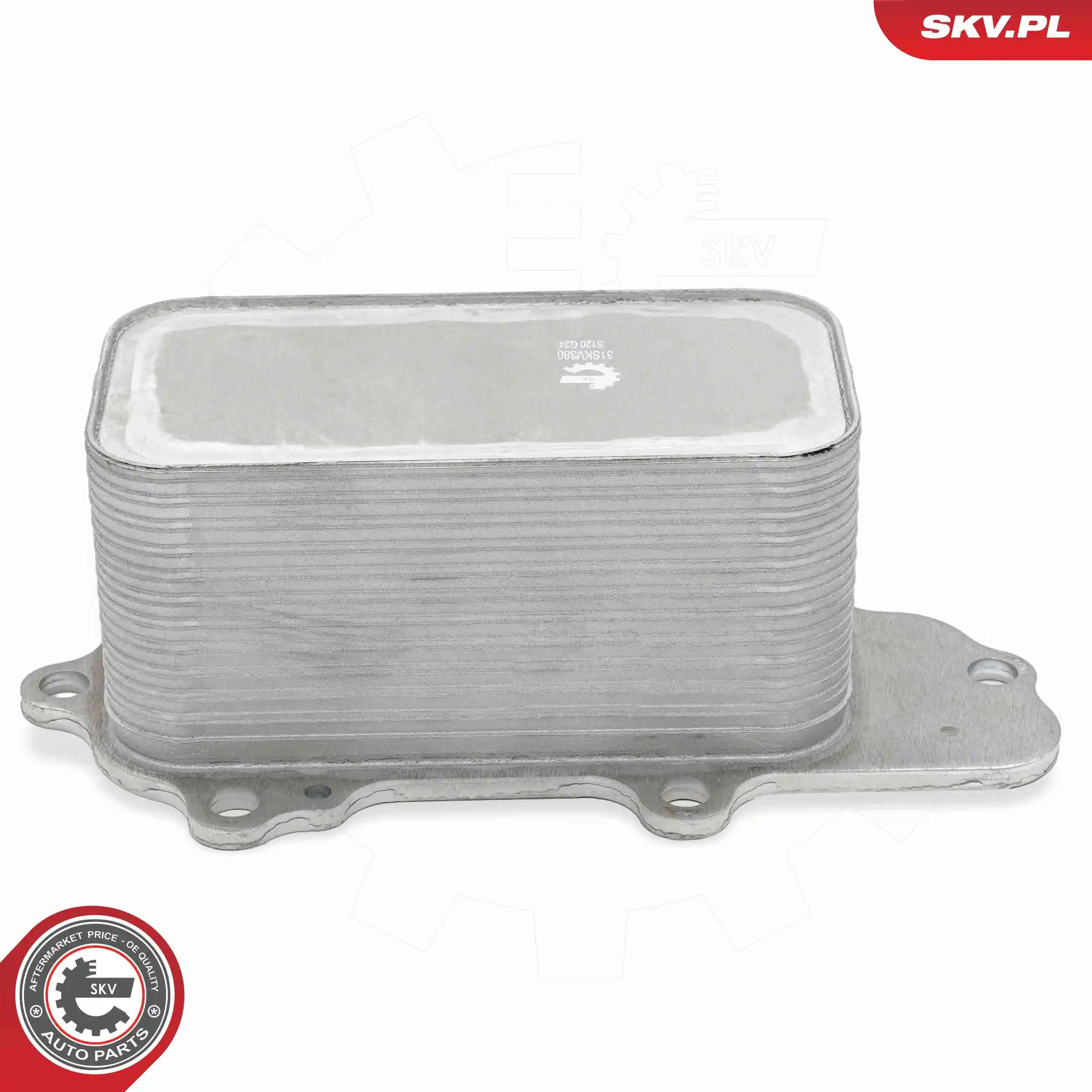 Oil Cooler, engine oil 31SKV380