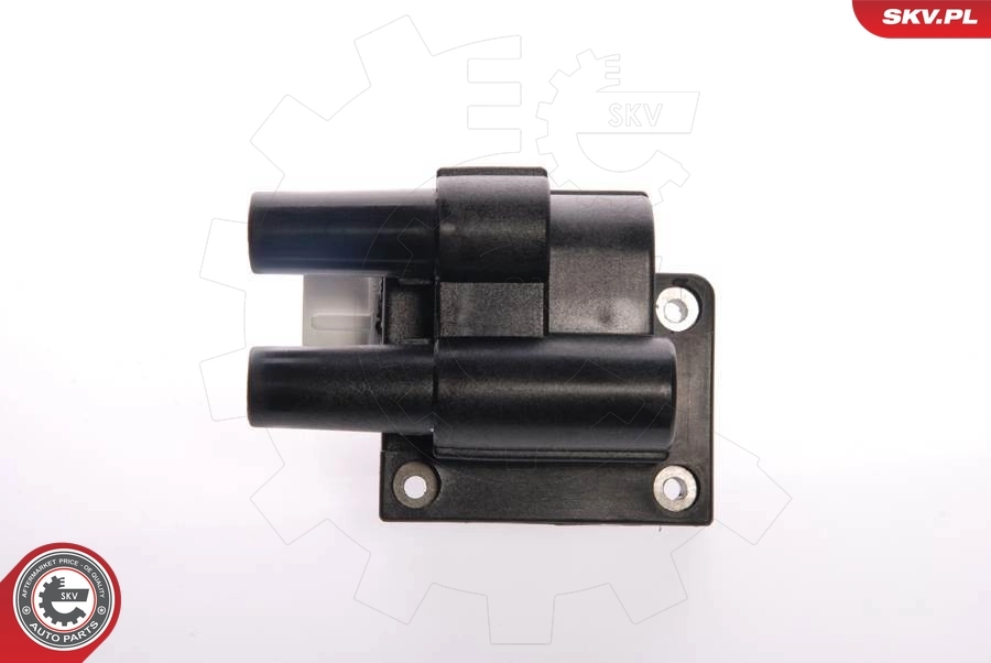 Ignition Coil 03SKV039