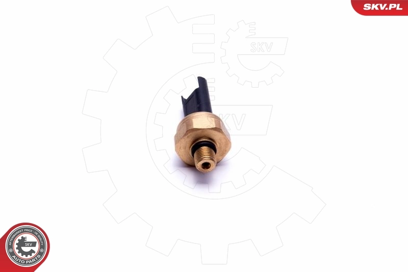 ESEN SKV 17SKV620 Sensor, fuel pressure