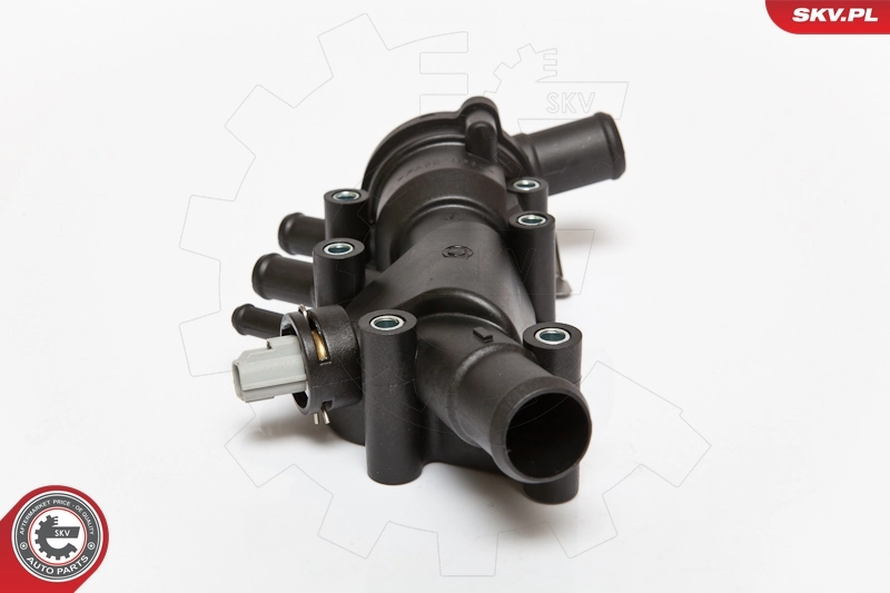 Thermostat, coolant 20SKV017