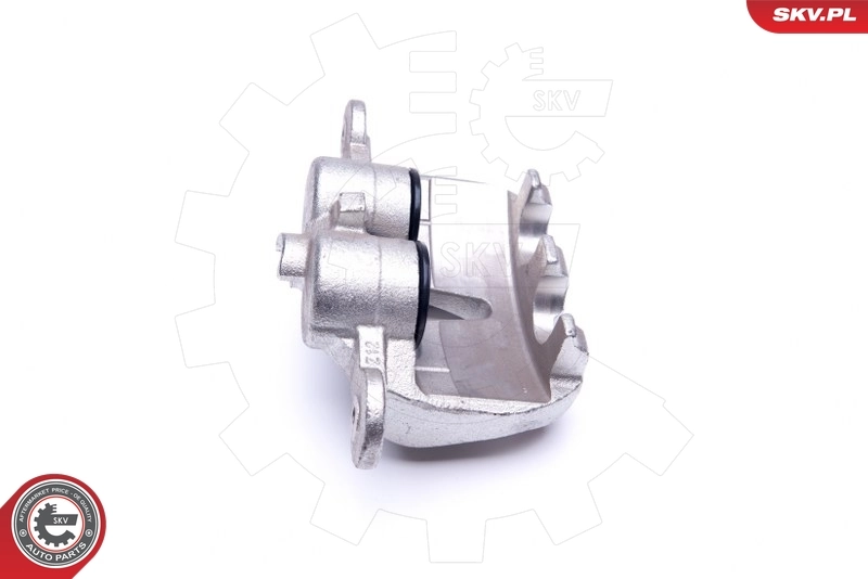 Brake Caliper 45SKV551