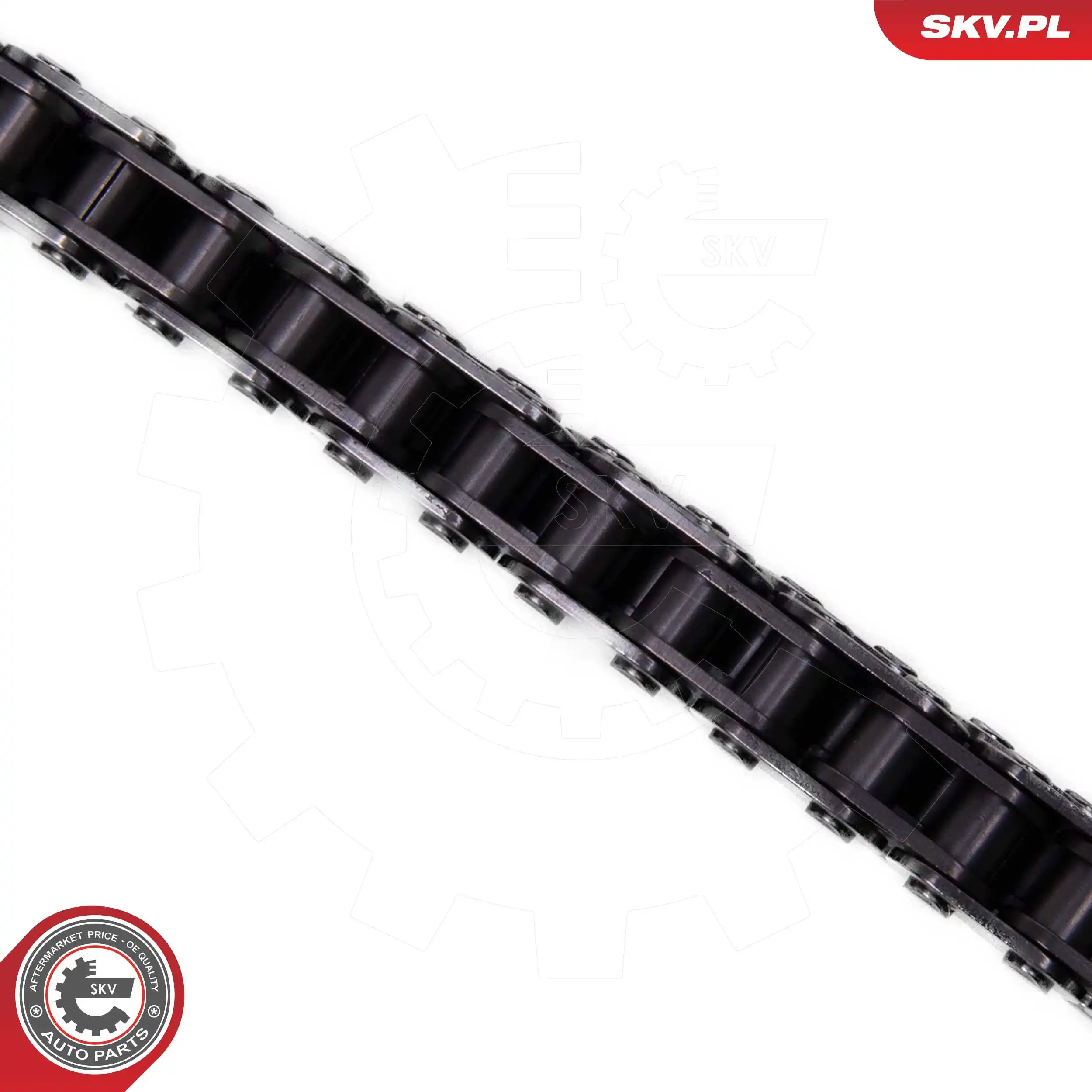 Timing Chain Kit 21SKV269