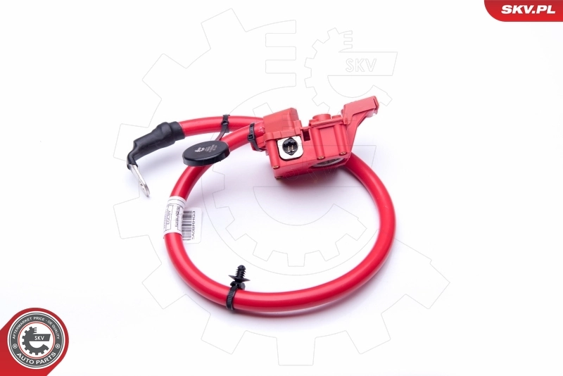 ESEN SKV 96SKV305 Battery Adapter