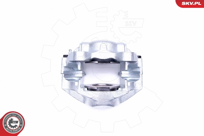 Brake Caliper 45SKV242