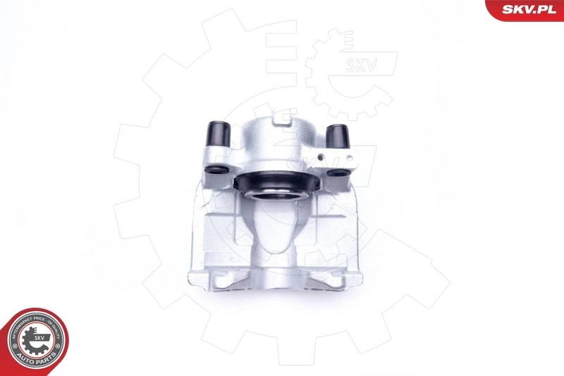 Brake Caliper 34SKV952
