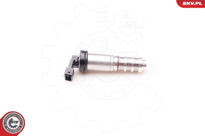 Control Valve, camshaft adjustment 39SKV014