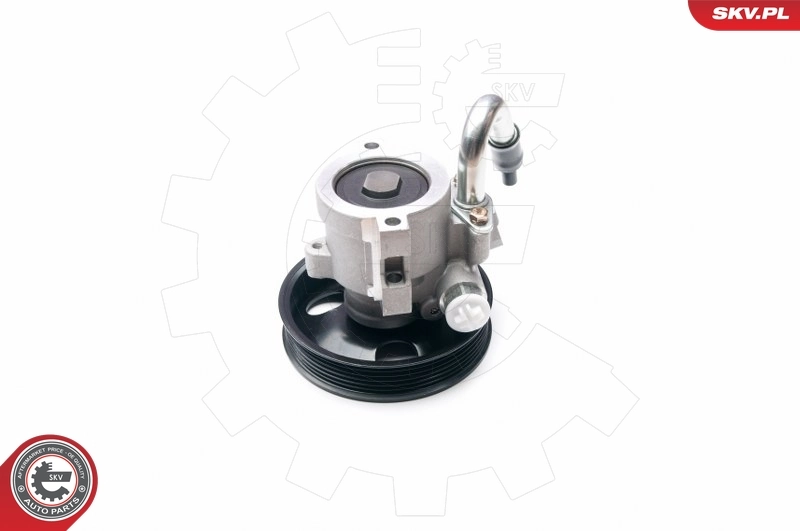 Hydraulic Pump, steering 10SKV206