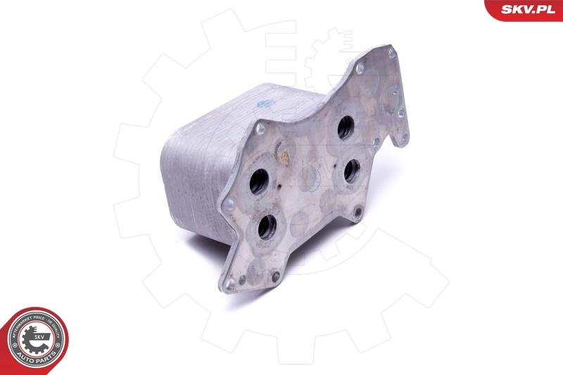 Oil Cooler, engine oil 31SKV213