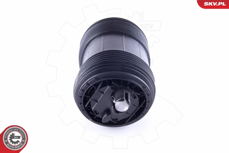 Air Spring, suspension 58SKV032