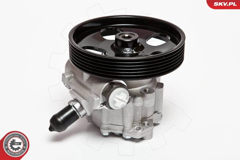 Hydraulic Pump, steering 10SKV023