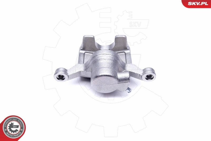 Brake Caliper 50SKV444
