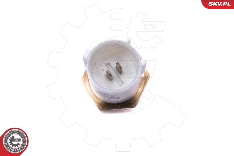 Sensor, intake air temperature 17SKV688