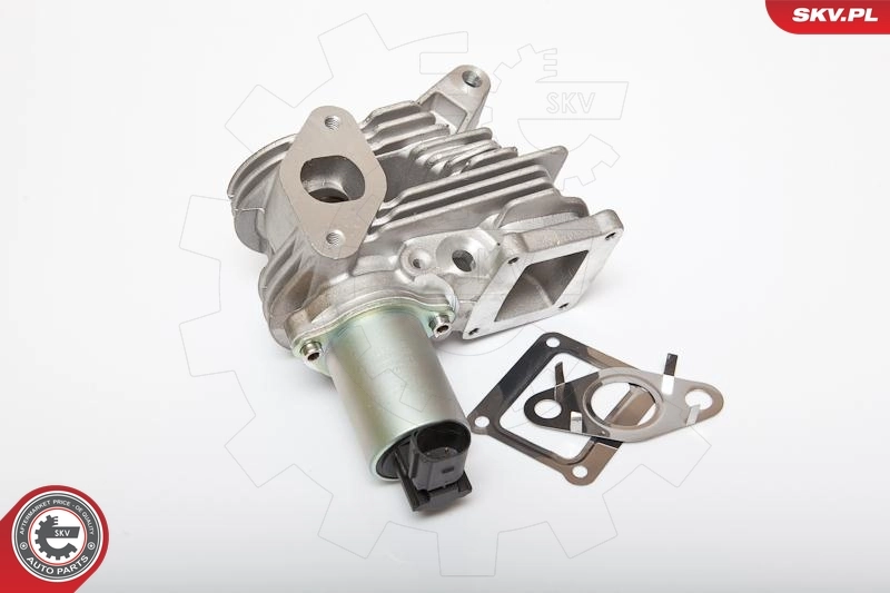 EGR Valve 14SKV036