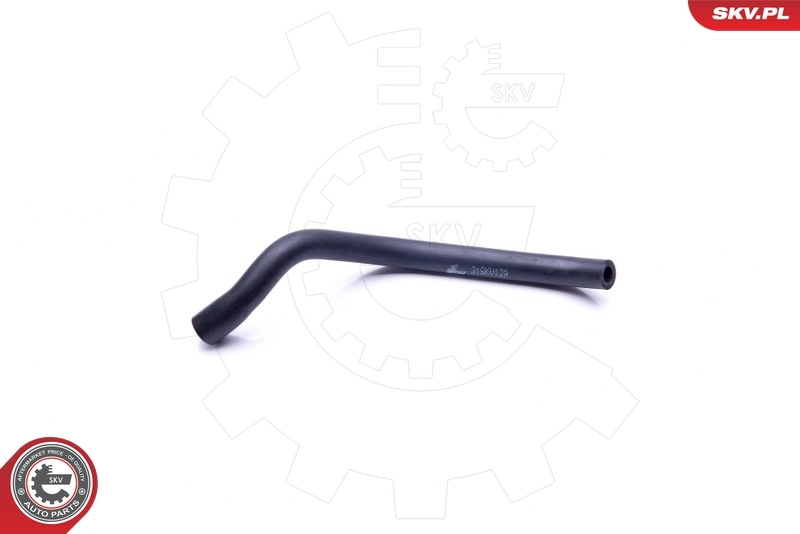 Hose, cylinder head cover ventilation 31SKV129