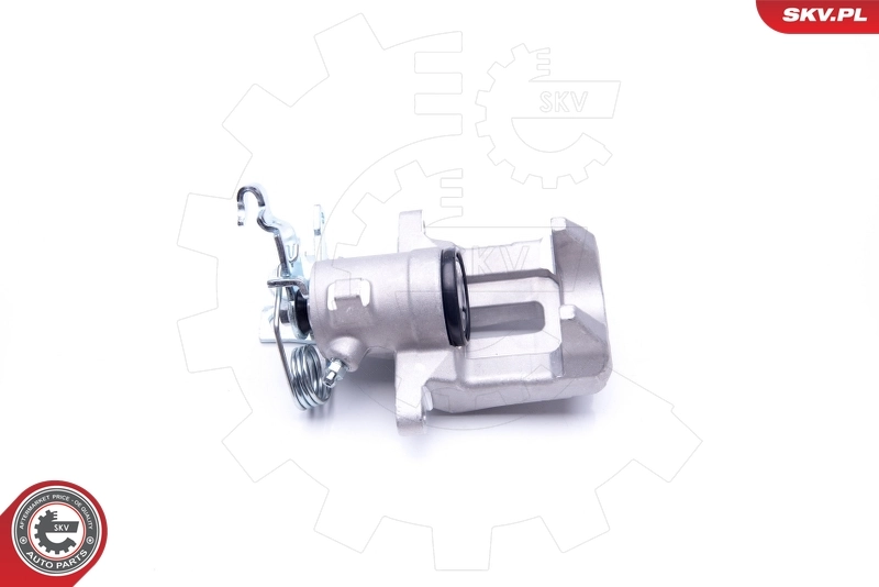 Brake Caliper 42SKV043