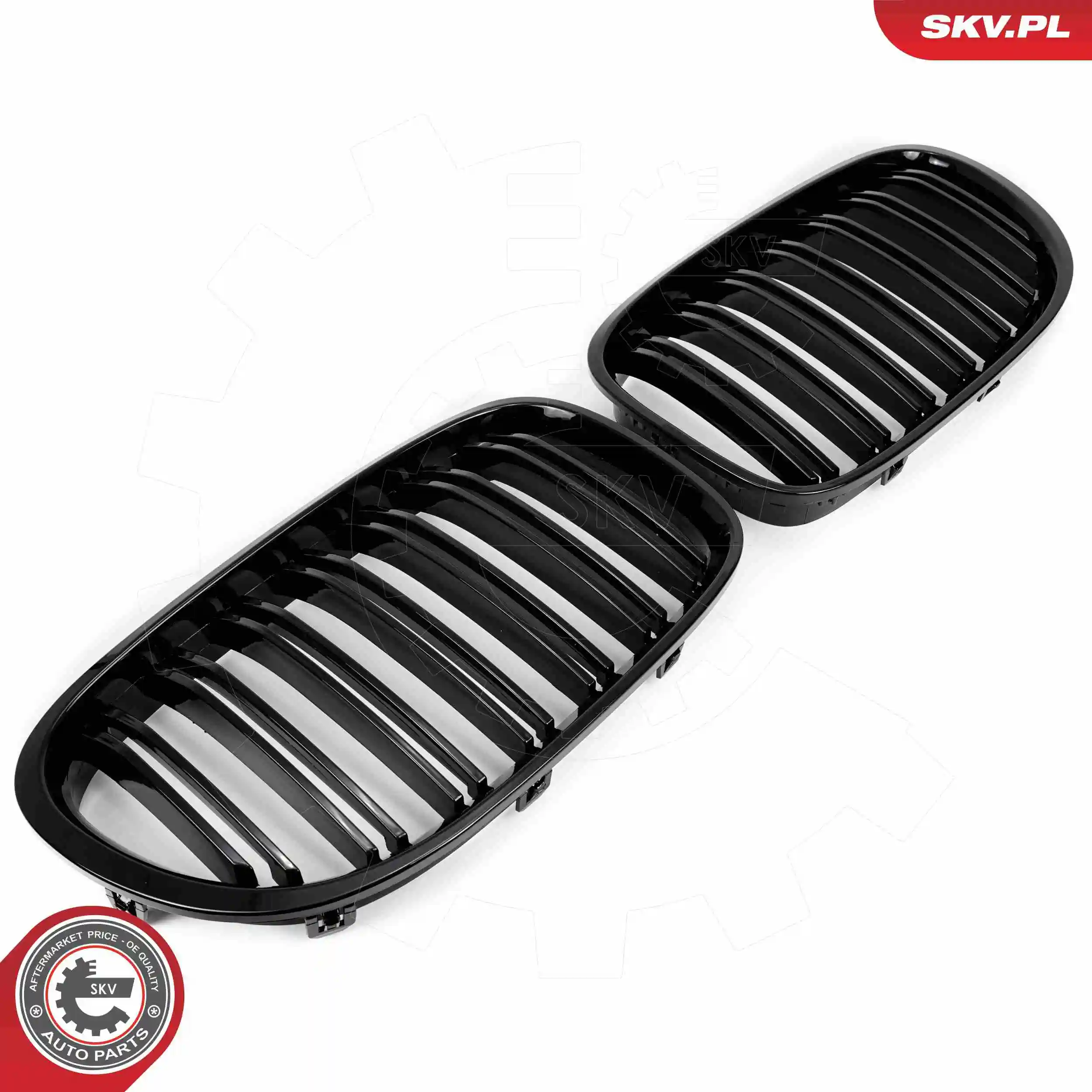 ESEN SKV 66SKV219 Radiator Grille