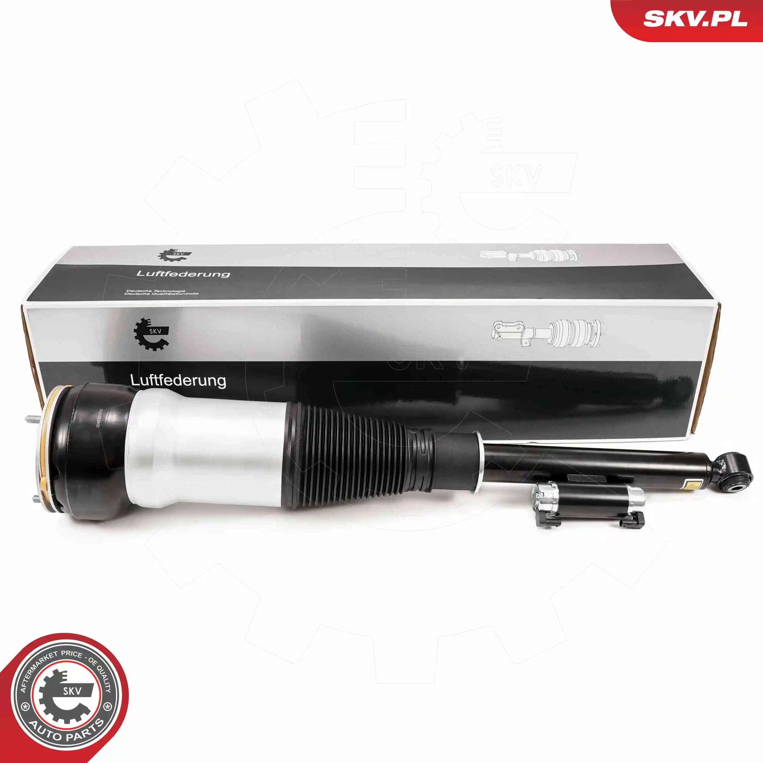 Air Suspension Strut 58SKV725