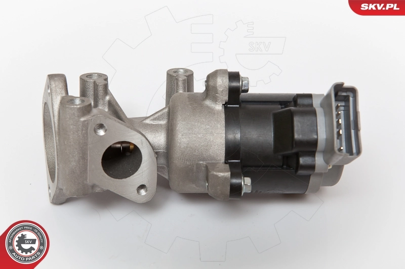 EGR Valve 14SKV066