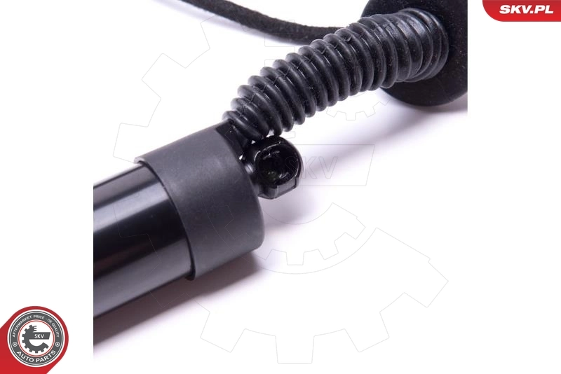 ESEN SKV 52SKV916 Electric Motor, tailgate