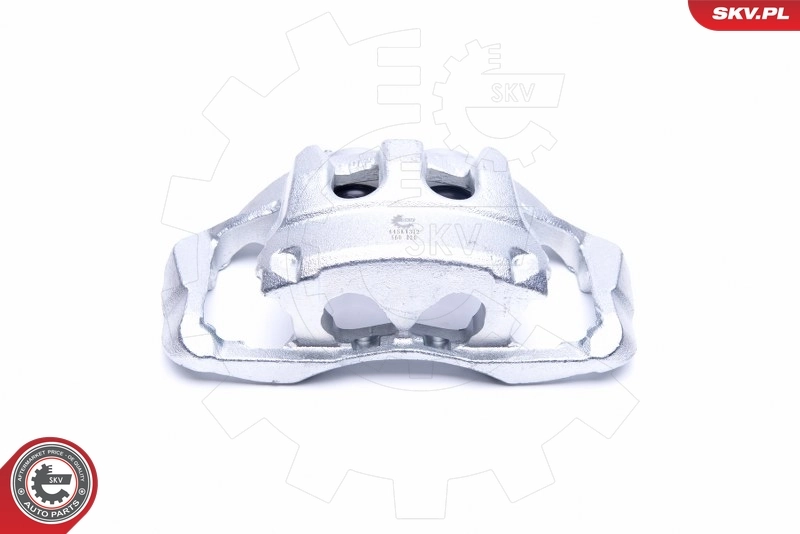 Brake Caliper 44SKV312
