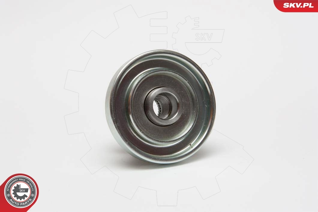 ESEN SKV 11SKV049 Alternator Freewheel Clutch
