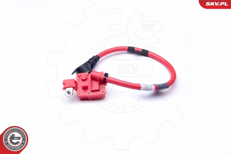 ESEN SKV 96SKV306 Battery Adapter