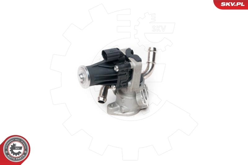 EGR Valve 14SKV100