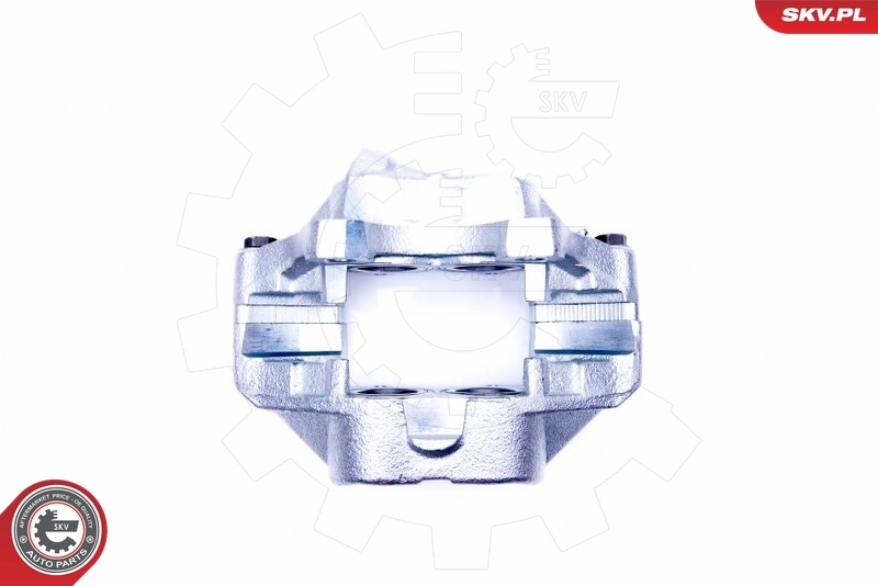 Brake Caliper 45SKV501