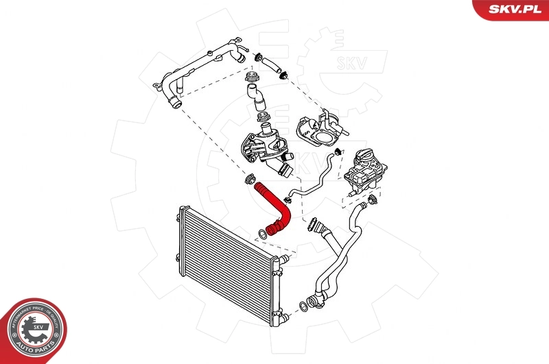 Radiator Hose 43SKV709