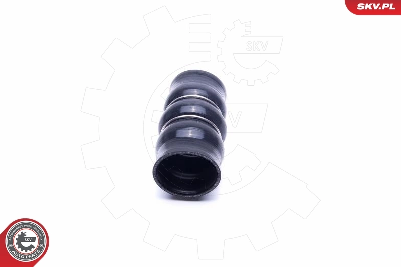 Charge Air Hose 54SKV139