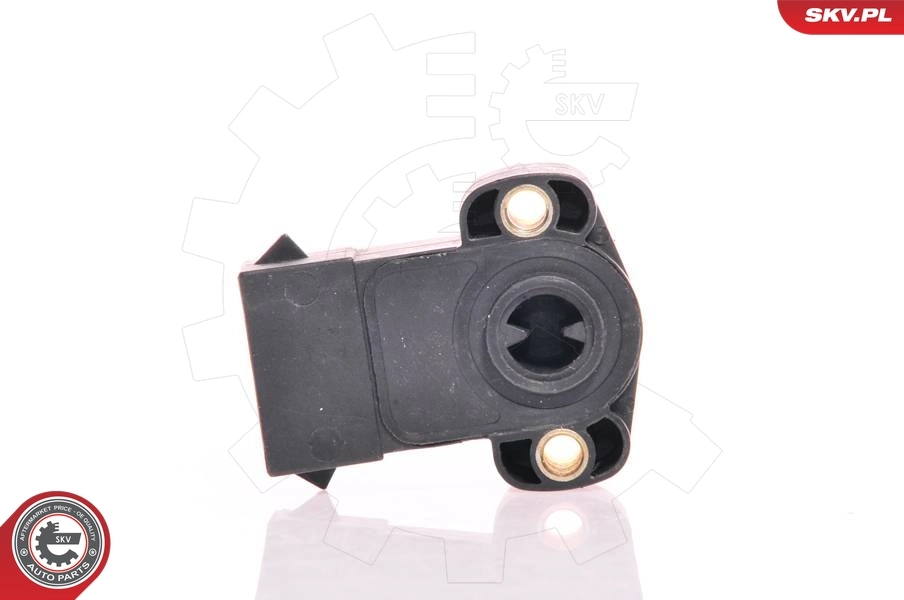 Sensor, throttle position 17SKV001