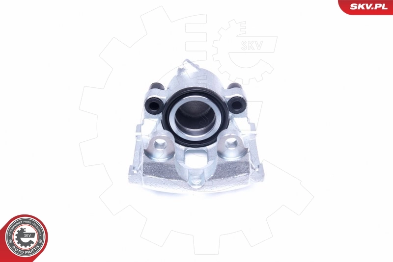 Brake Caliper 44SKV242