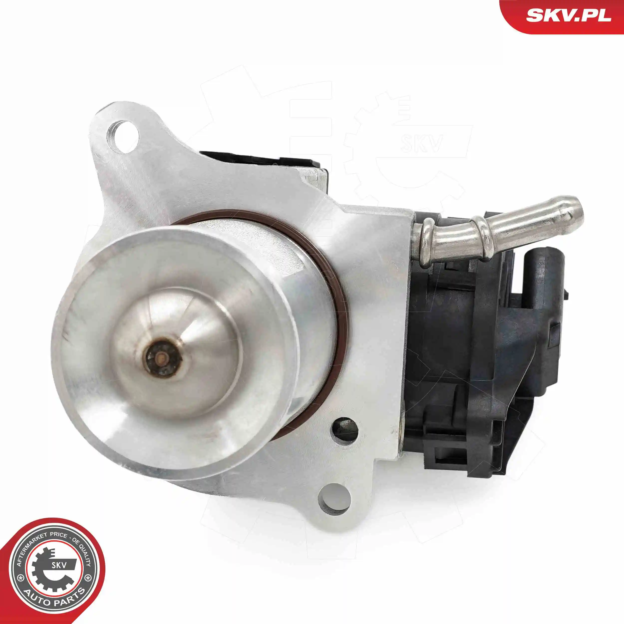 EGR Valve 14SKV266