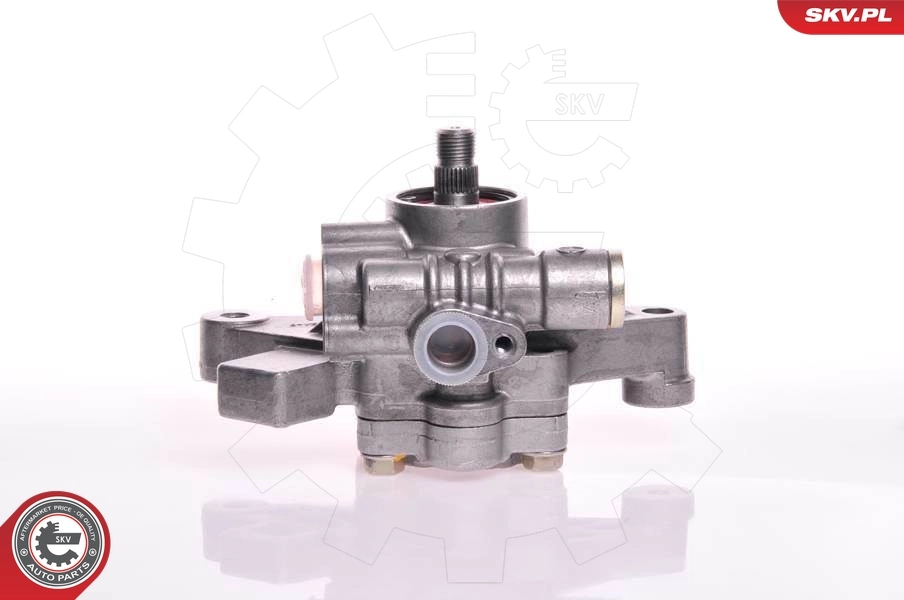 Hydraulic Pump, steering 10SKV103