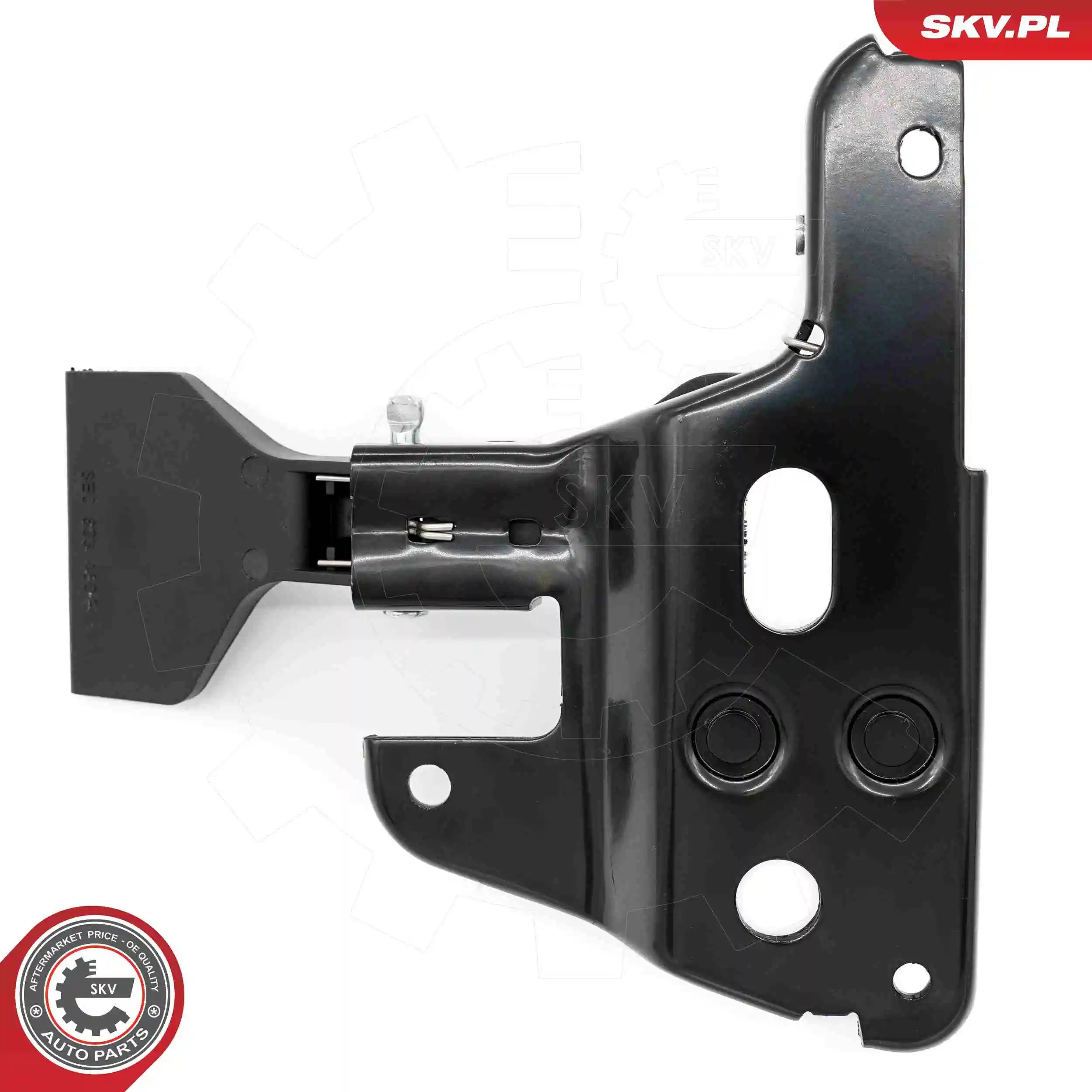 Tailgate Lock 16SKV077