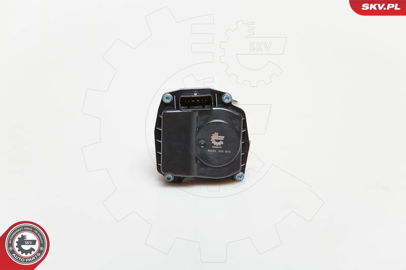 Throttle Body 12SKV031