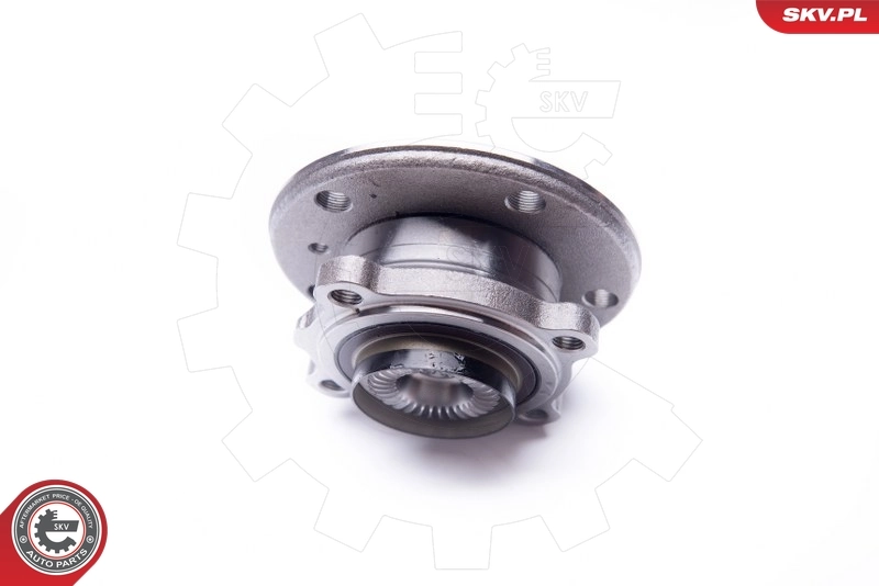 Wheel Bearing Kit 29SKV173