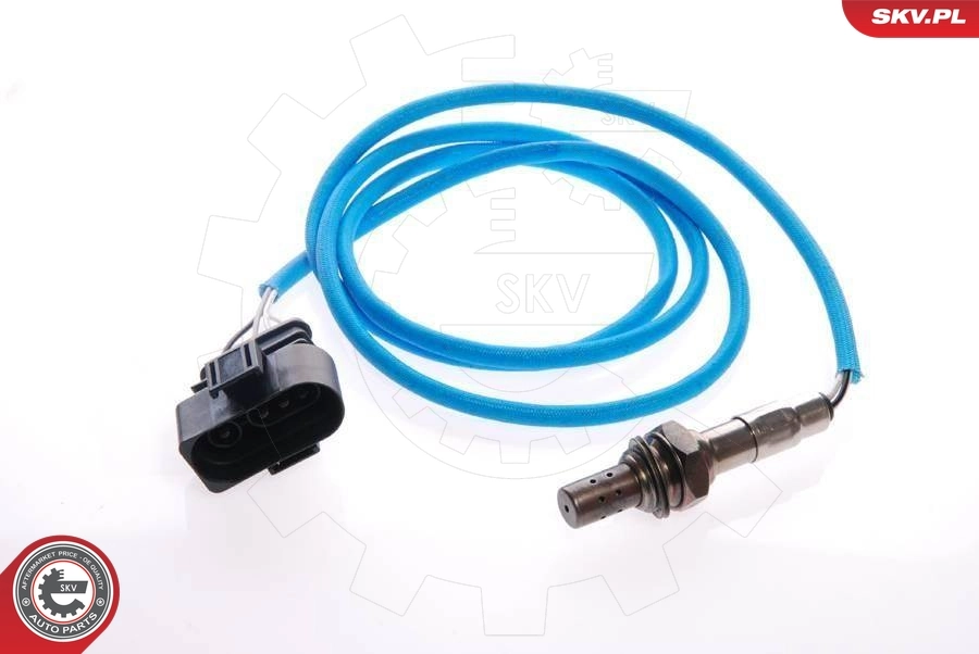 Oxygen Sensor 09SKV078