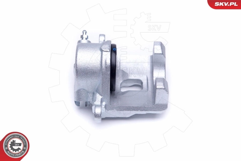 Brake Caliper 50SKV501