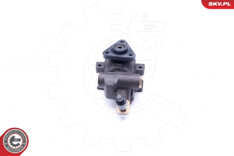 Hydraulic Pump, steering 10SKV253