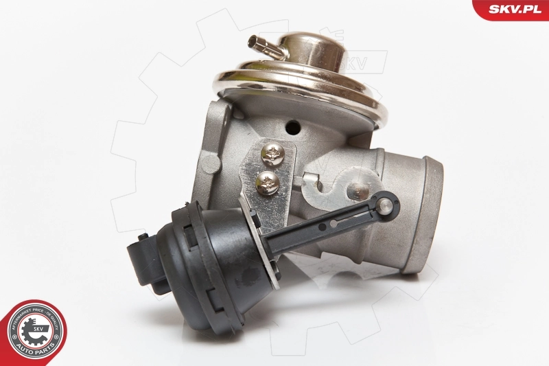 EGR Valve 14SKV082