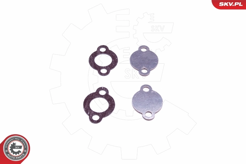 ESEN SKV 14SKV578 Repair Set, EGR valve