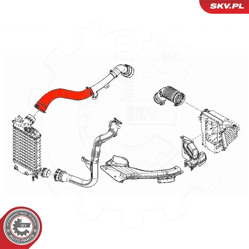 Charge Air Hose 54SKV022
