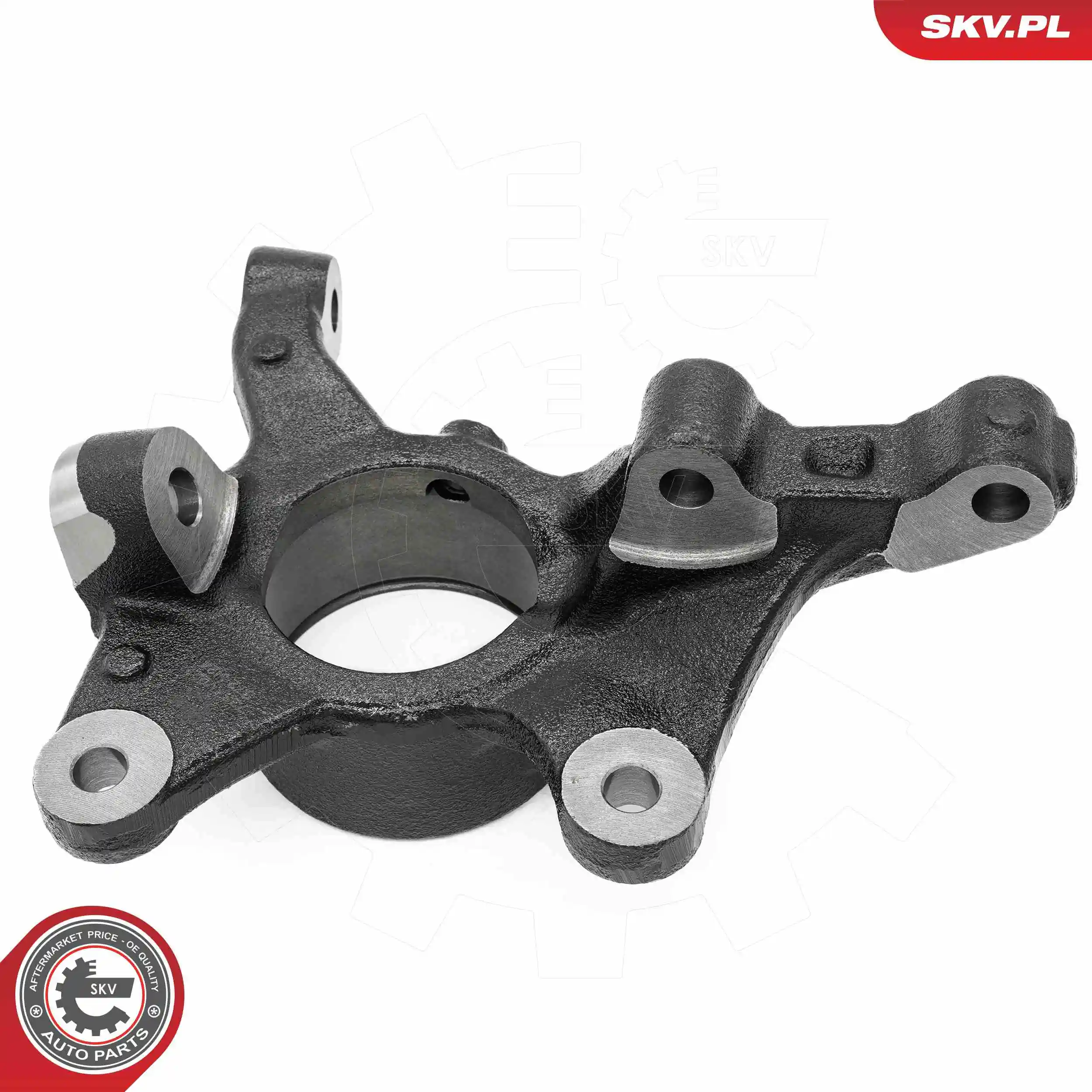 Steering Knuckle, wheel suspension 73SKV022