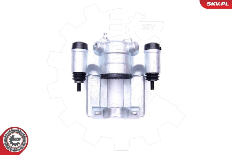 Brake Caliper 42SKV893