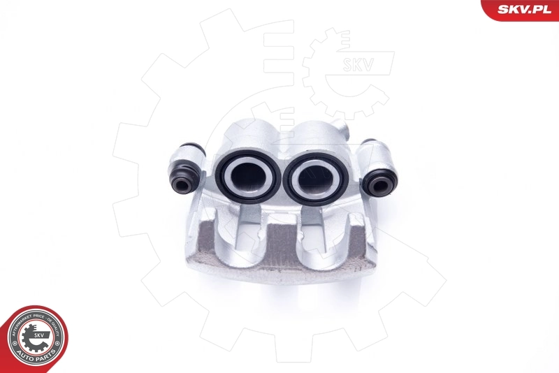 Brake Caliper 42SKV072