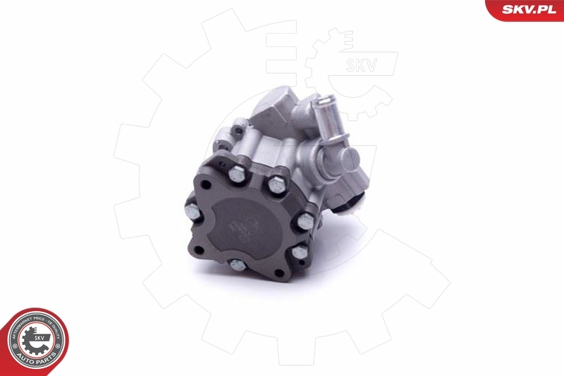 Hydraulic Pump, steering 10SKV305