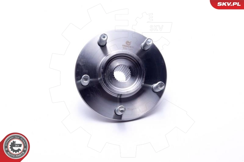 ESEN SKV 29SKV510 Wheel Bearing Kit