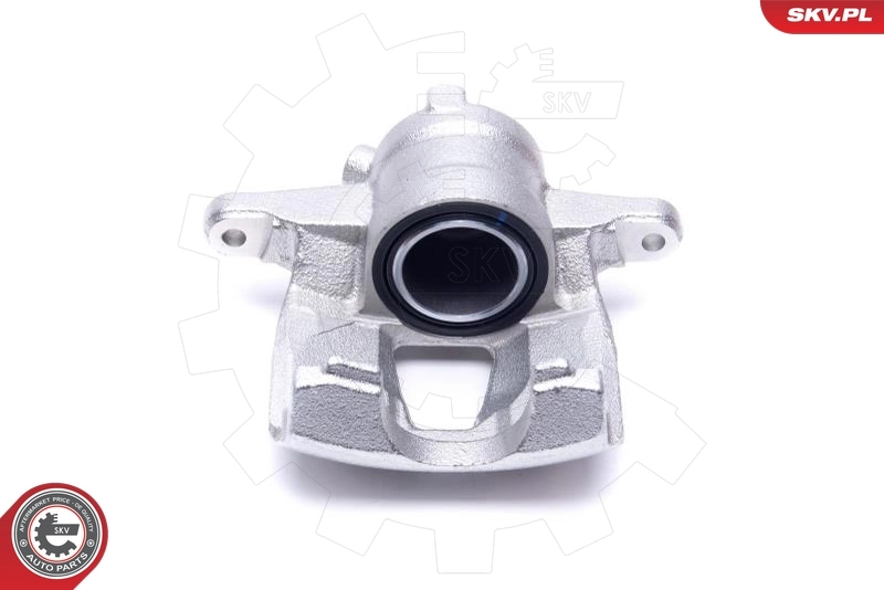 Brake Caliper 56SKV301