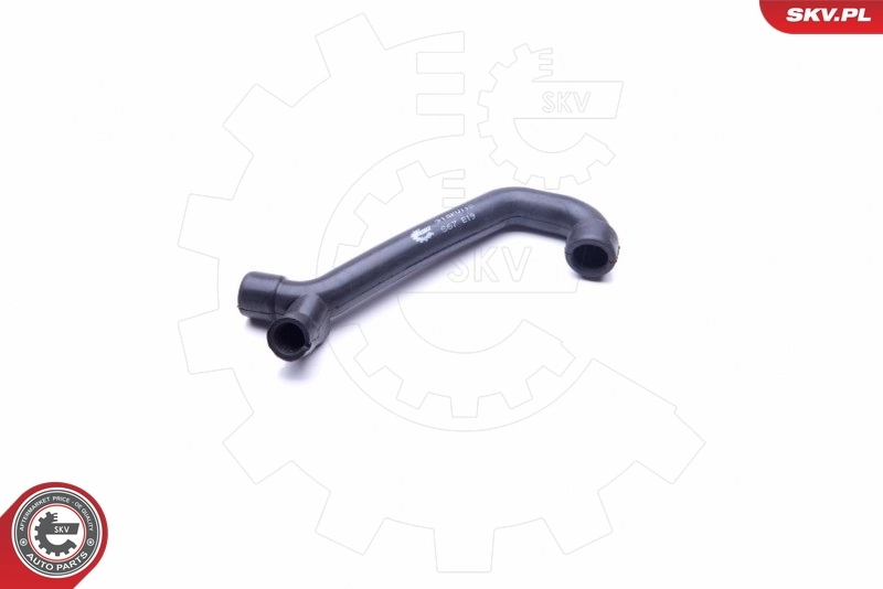Hose, crankcase ventilation 31SKV113